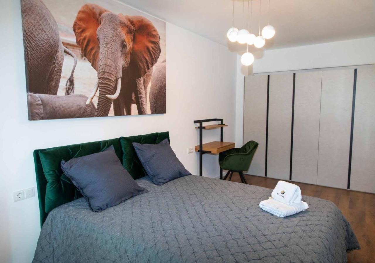 Bg Luximmo Apartments คลูจ-นาโปกา ภายนอก รูปภาพ